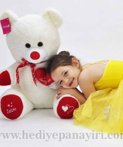 Kalp Yastıklı 65 cm Peluş Ayıcık